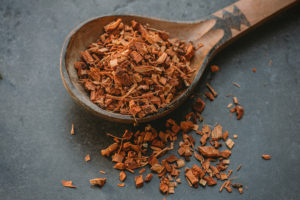 What African medicine can teach us