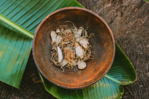 African ginger has many health benefits